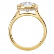 Hidden Halo Semi-Mount Engagement Ring