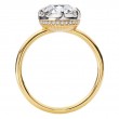 Hidden Halo Semi-Mount Diamond Engagement Ring