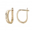 Ladies Fashion Hoop Earrings