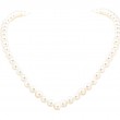 Ladies Fashion Pearl Necklace