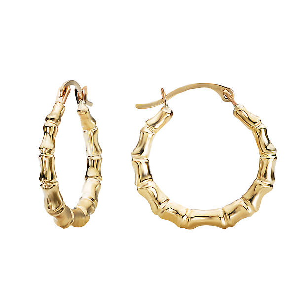 Ladies Fashion Hoop Earrings