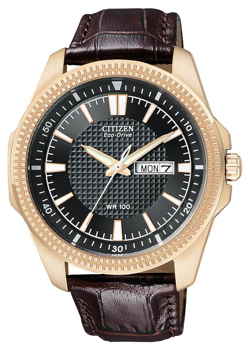 citizen wr 100 quartz